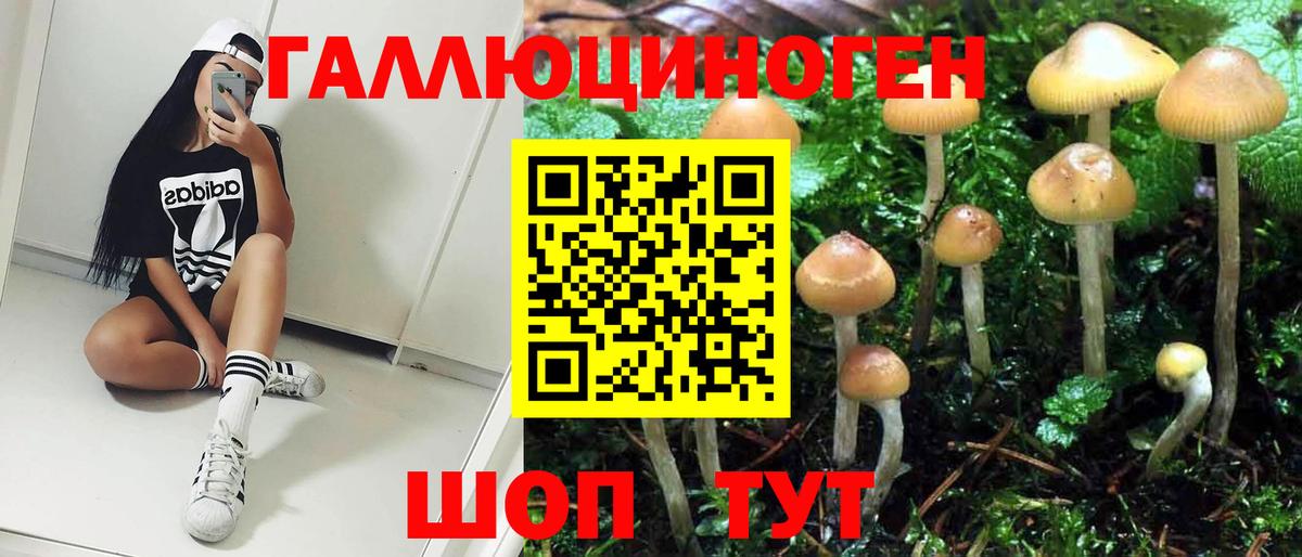 Конопля  Гашиш  APVP СК кристаллы  Киселёвск  ГАШ  МЕФ  МЕФ   COCAIN  Вход с VPN 